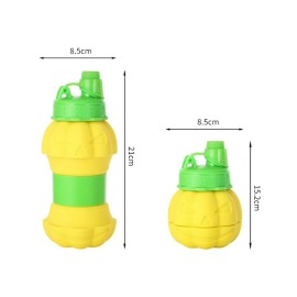18.6 oz Pumpkin Water Bottle