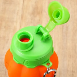 18.6 oz Pumpkin Water Bottle