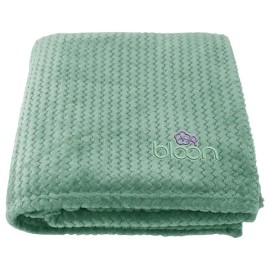350 GSM Plush Flannel Blanket