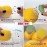 Citrus Lemon Orange Juicer